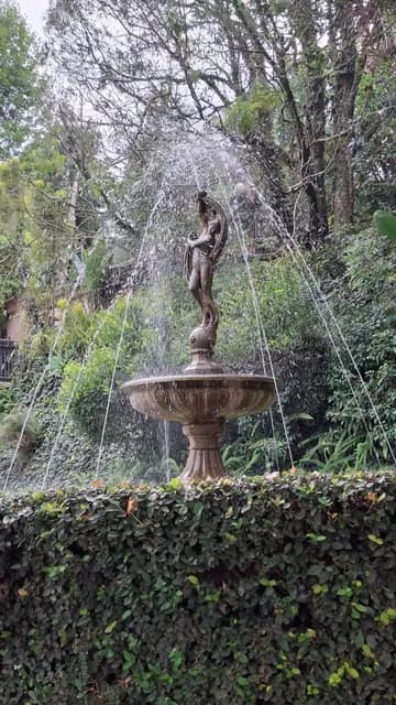 A statue fountain spraying water above an ivy-covered hedge in the lodge gardens
