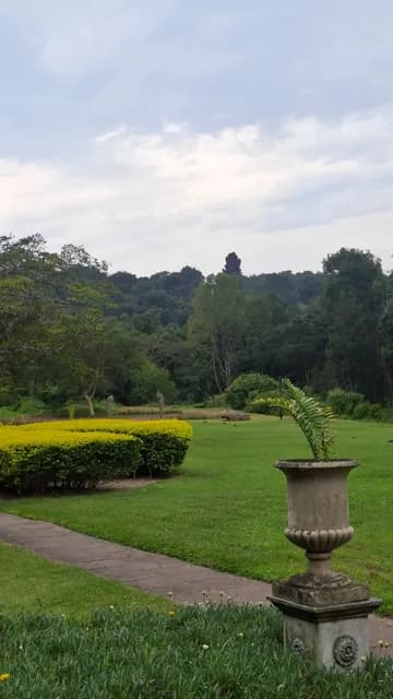 Manicured lawns and hedges at duBoirs Boutique Lodge, a stone urn beside the garden path