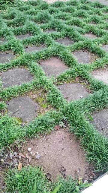 A grass-grid stone pathway in the gardens
